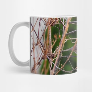 Dark-eyed Junco Perched On A Small Branch Mug